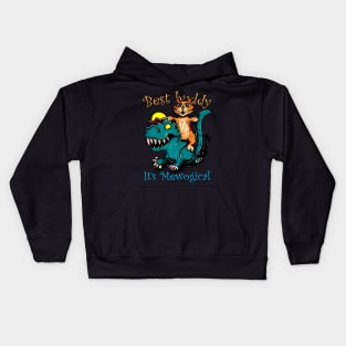 T Rex Dinosaur Riding Cat Kids Hoodie